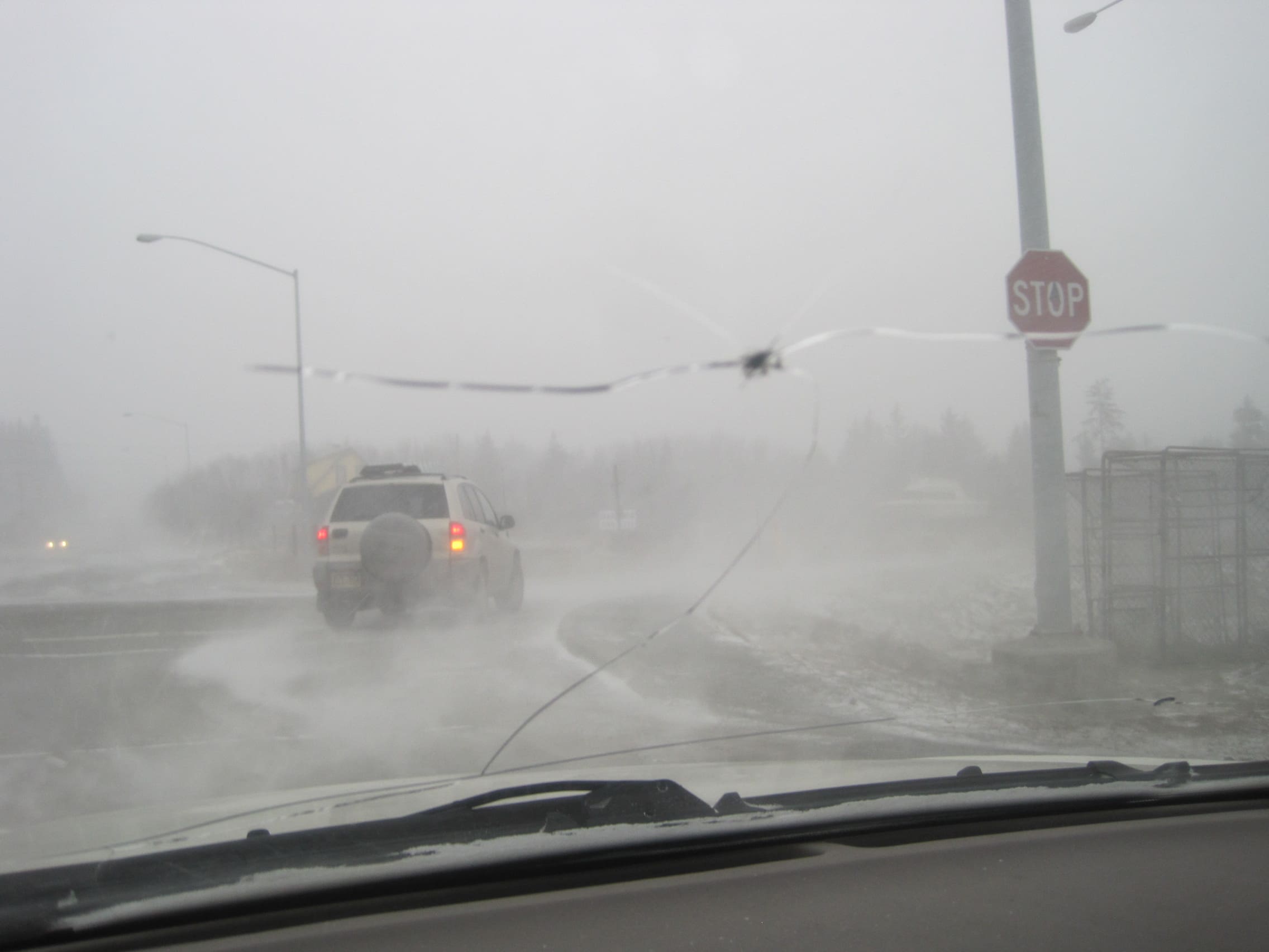 Driving in the Blizzard