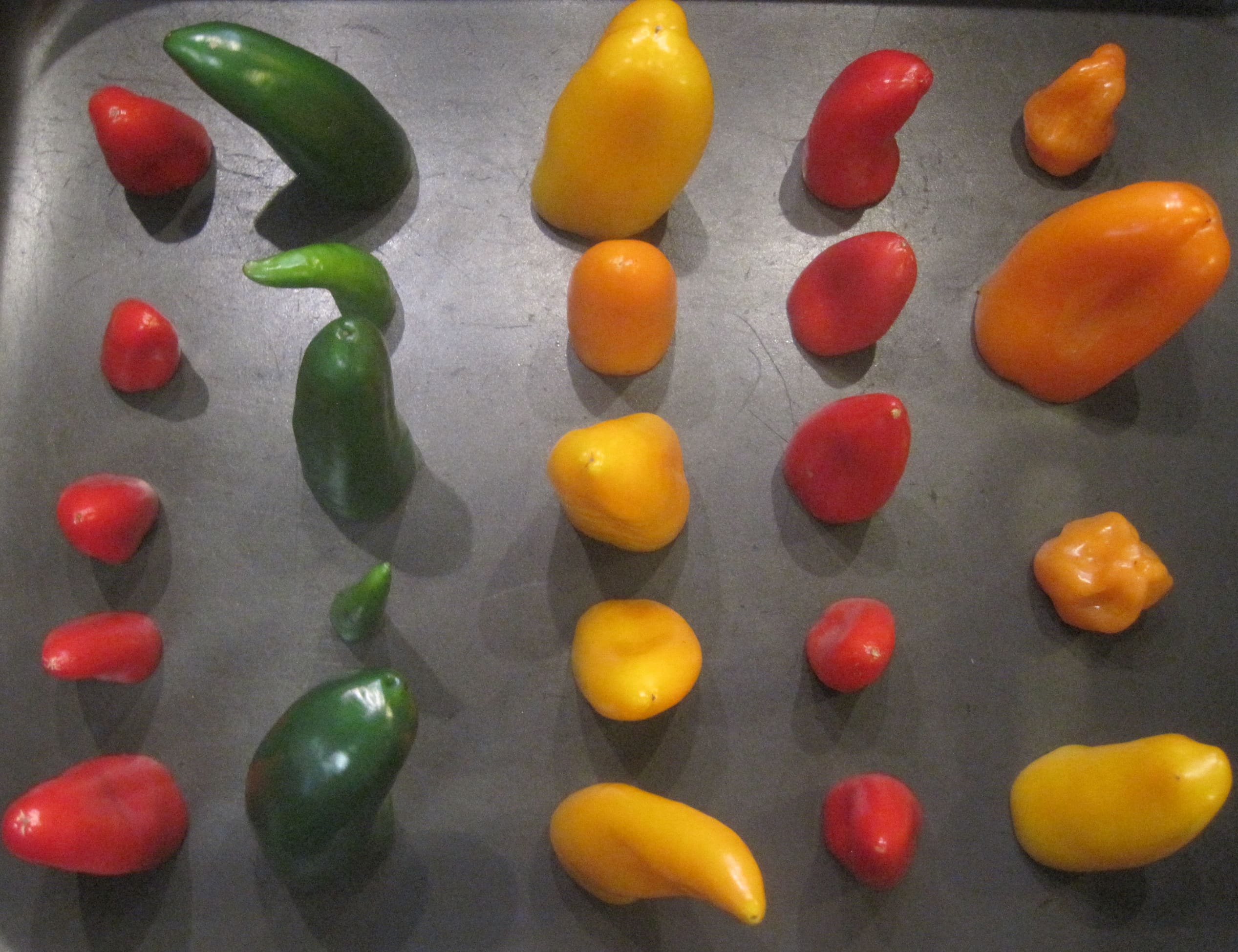 Maria Shell Image Journal #16