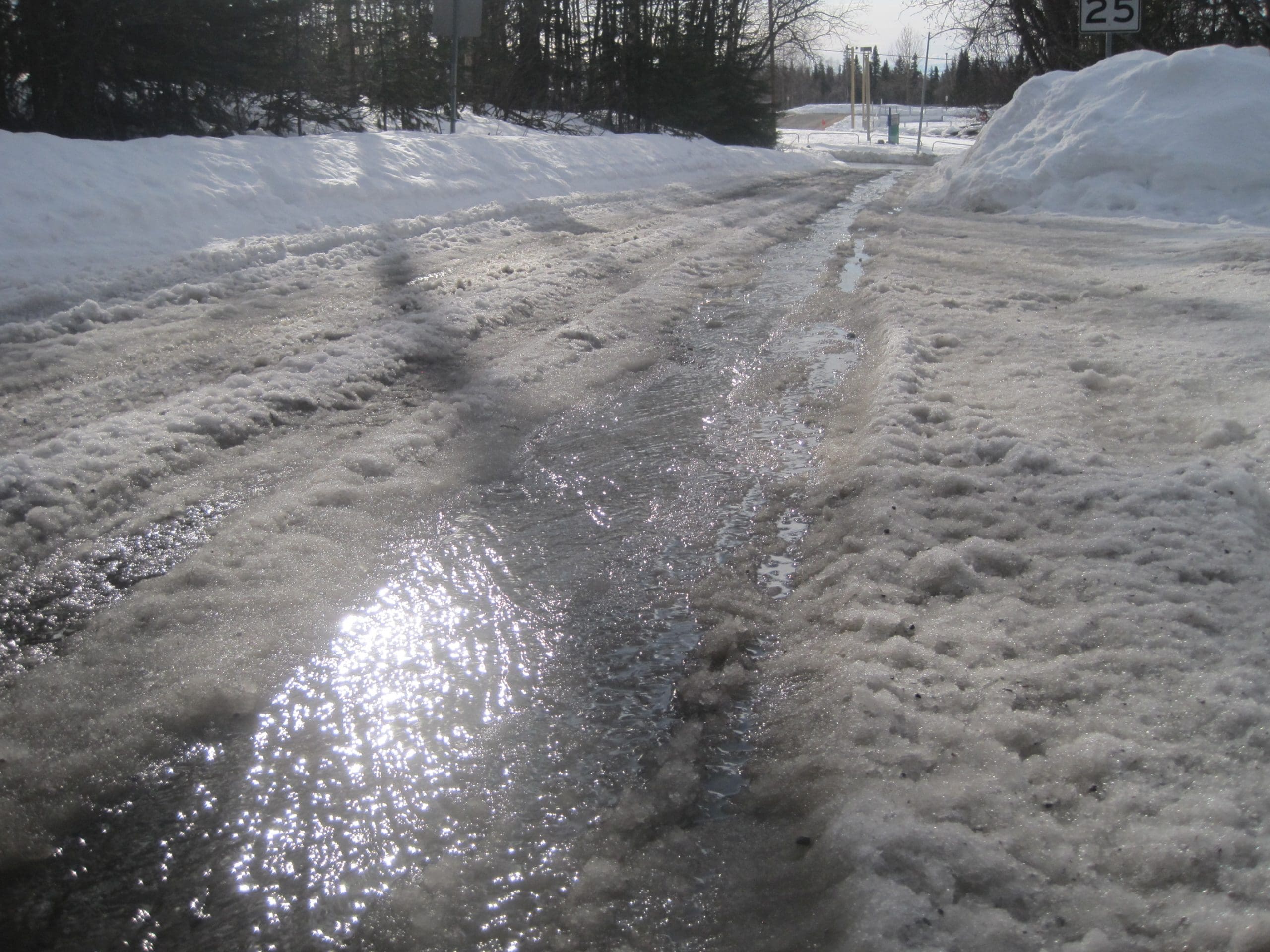 Maria Shell Image Journal #16