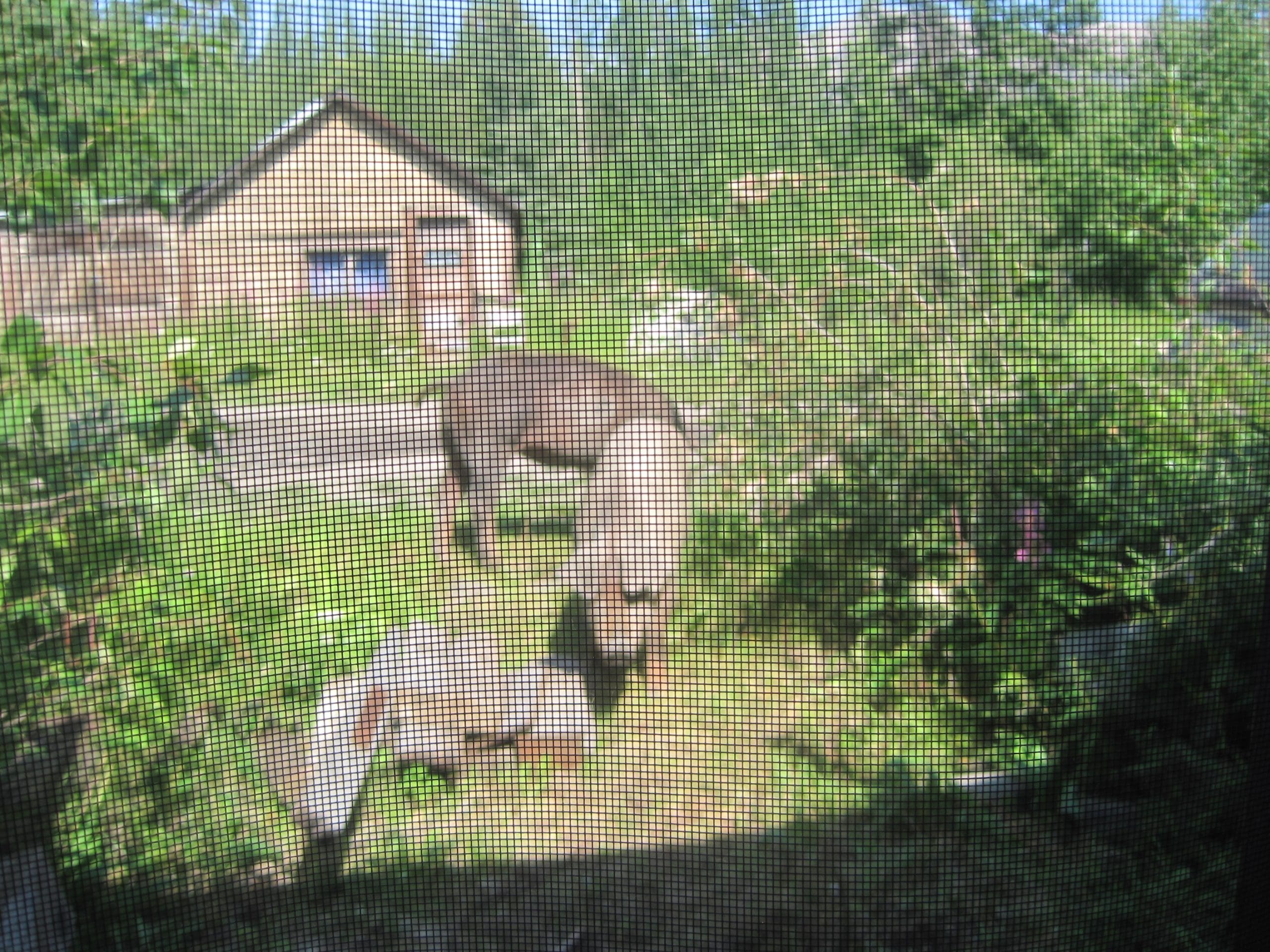 Maria Shell Image Journal #28