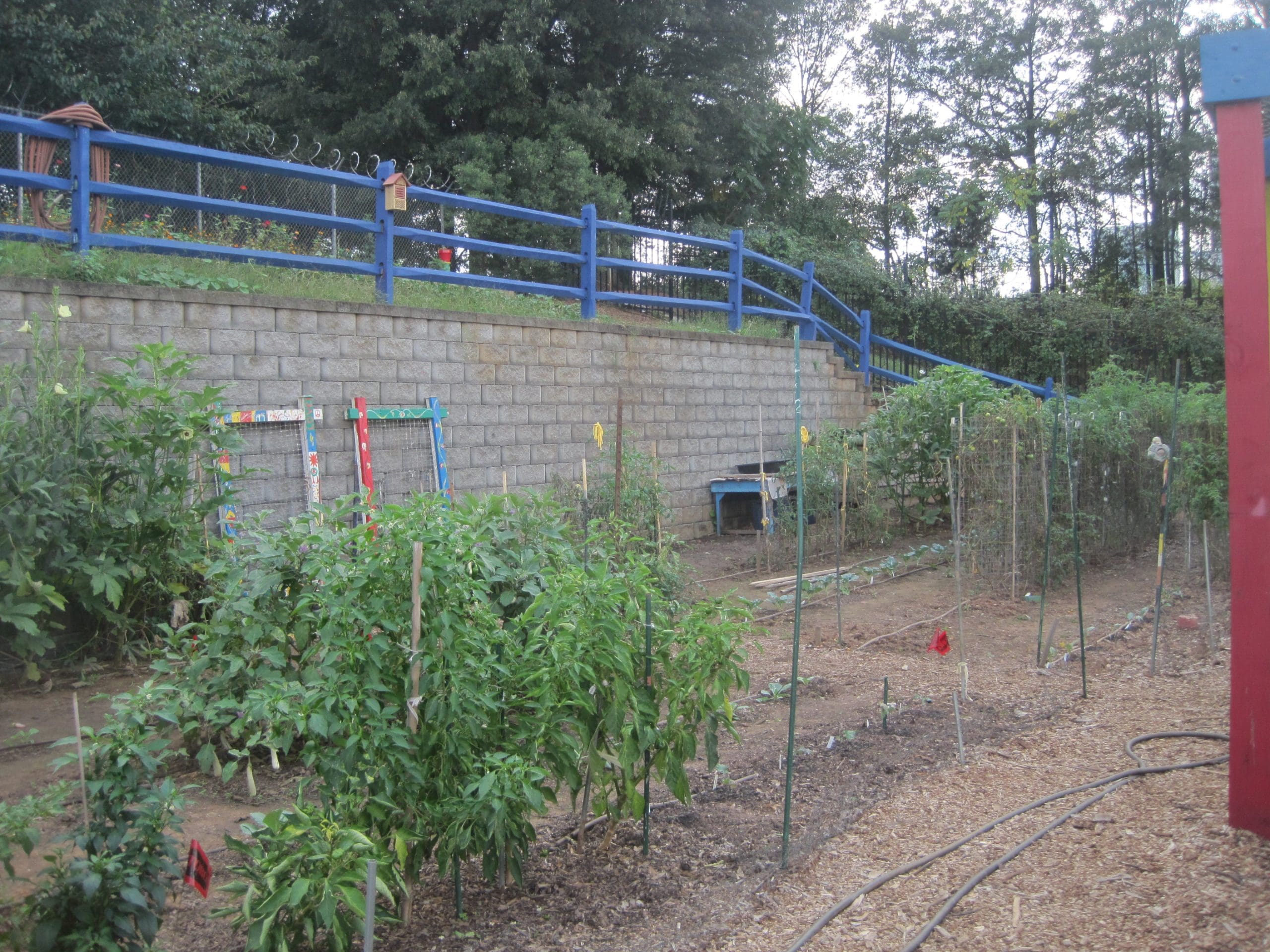 Maria Shell Journey to Moore Place 