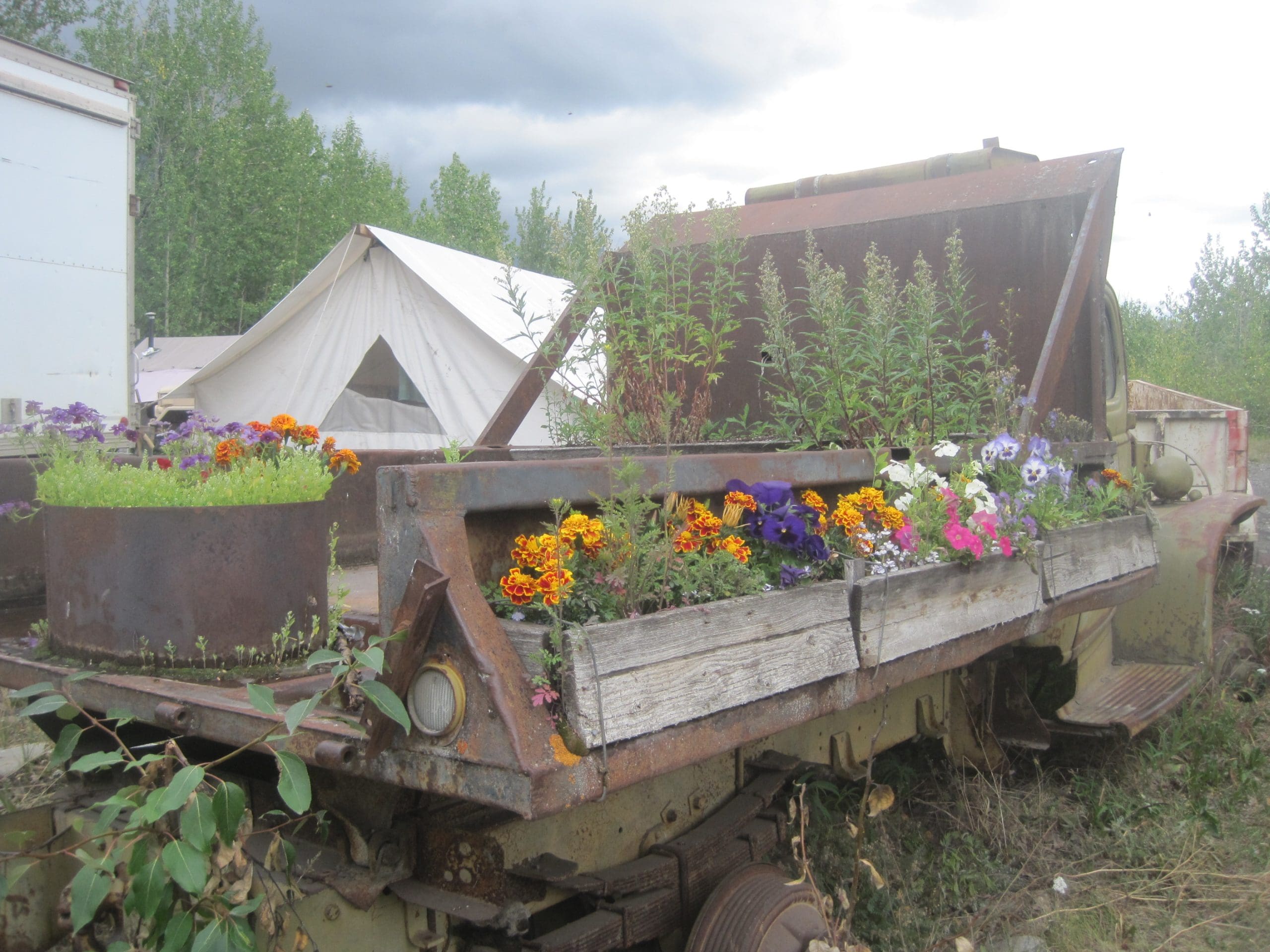Maria Shell Vegetable Garden--McCarthy Style