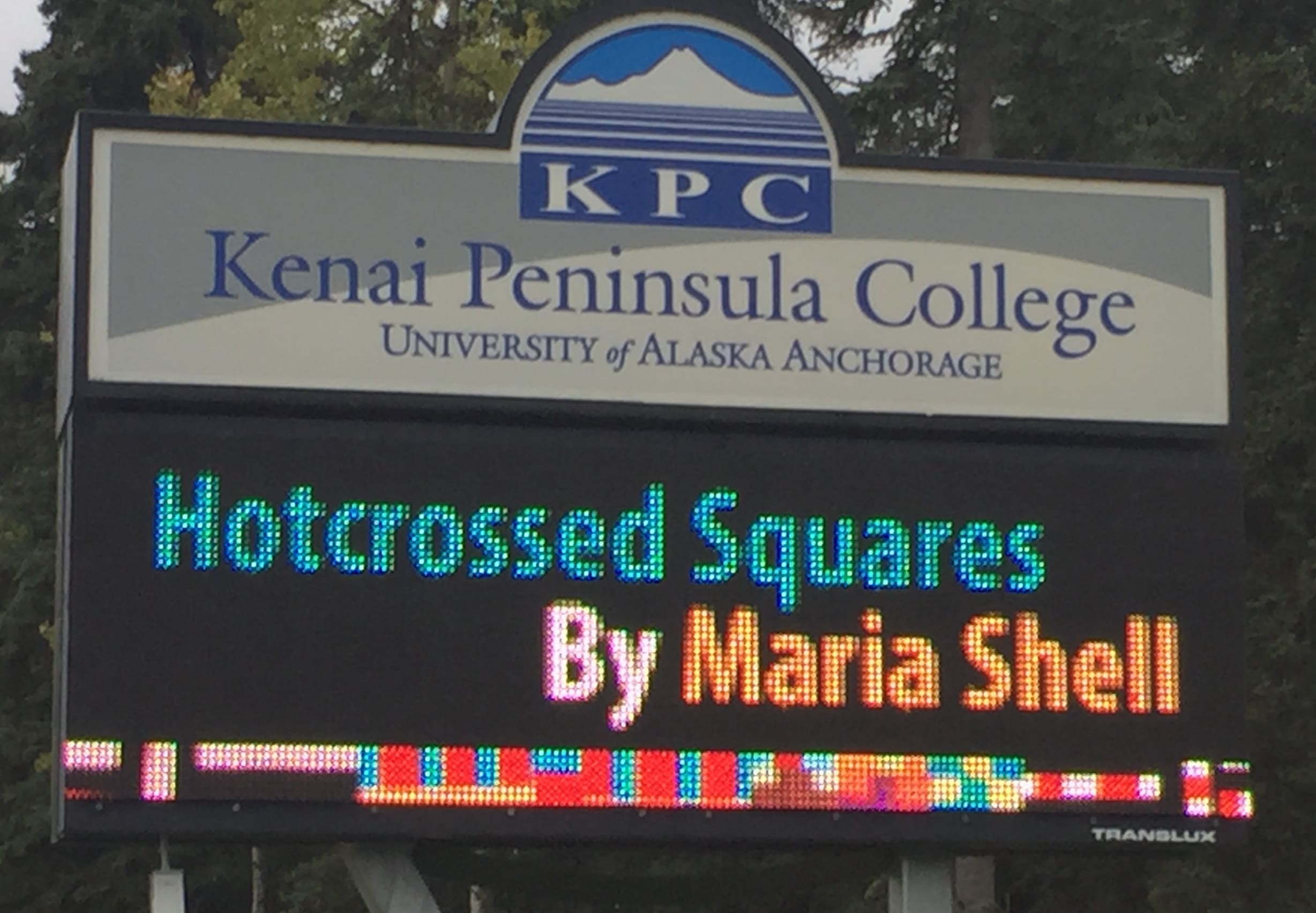 Maria Shell Hot Crossed Squares