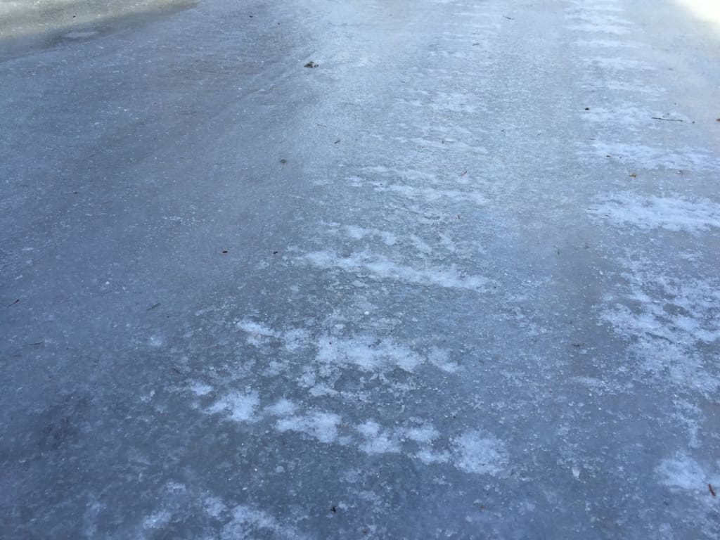 Maria Shell Image Journal February 2016