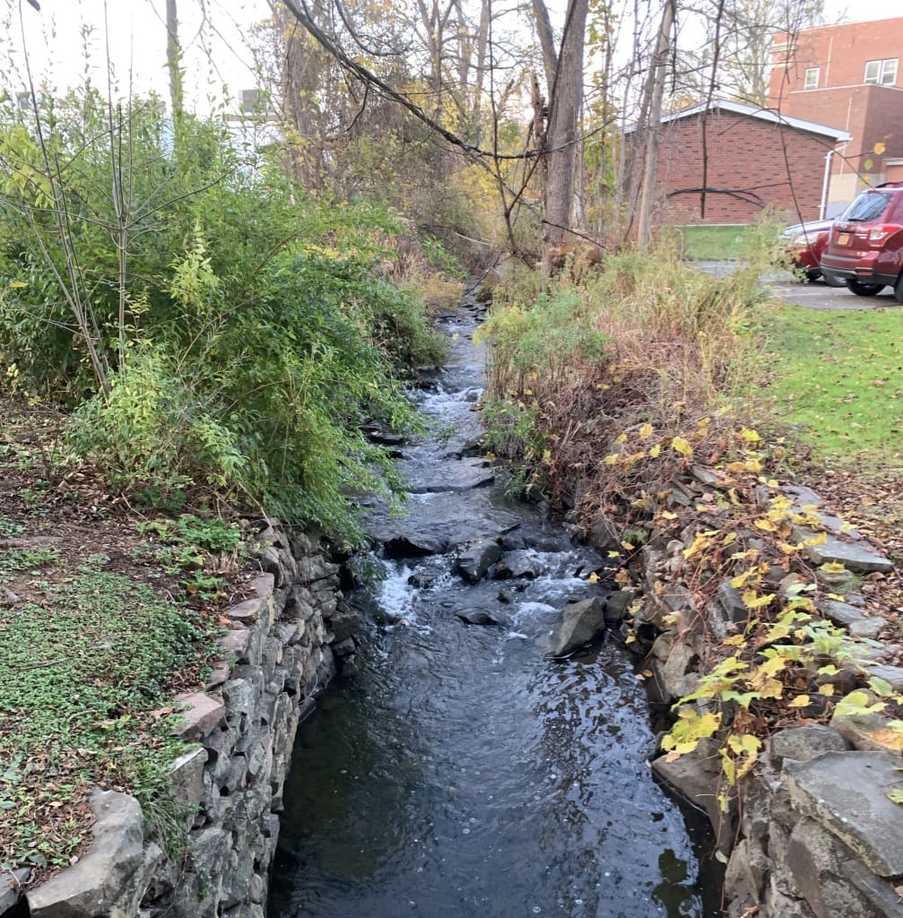 KXa8u0A6QuCiSpMjeagv0w_thumb_1e58b